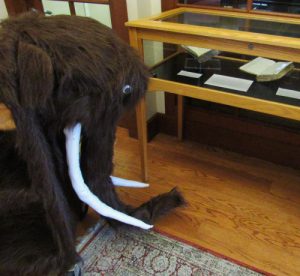 Book cart dressed as woolly mammoth